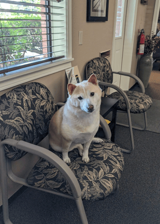 Images Becky Schuler - State Farm Insurance Agent