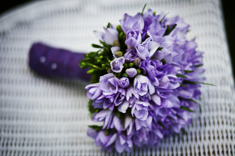 Images Fioreria Palazzin