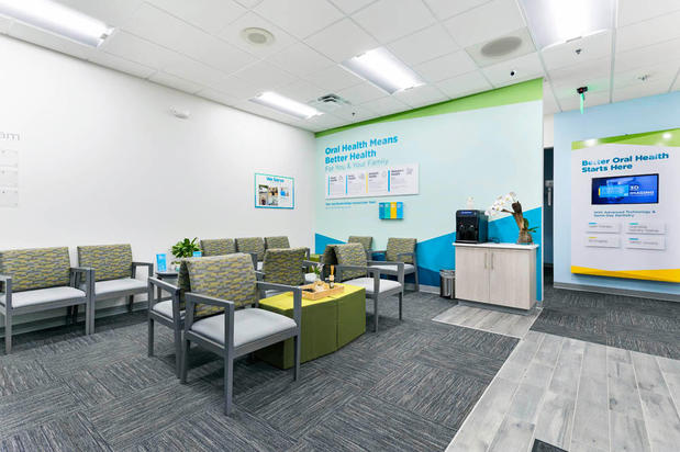 Images New Caney Smiles Dentistry