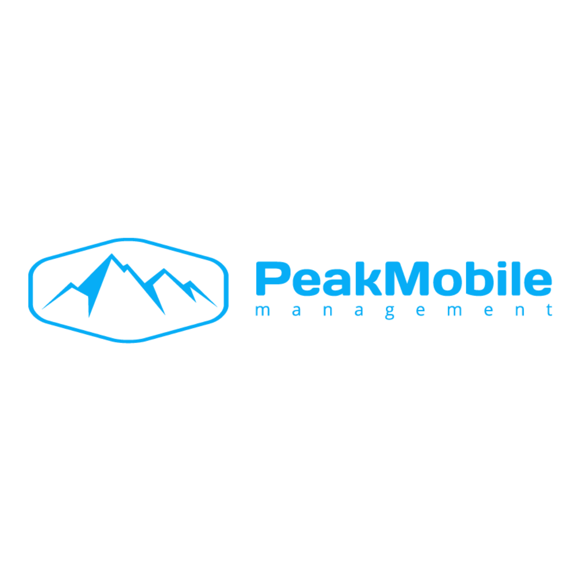 My Peak Mobile - South Jordan, UT 84095 - (385)256-9407 | ShowMeLocal.com