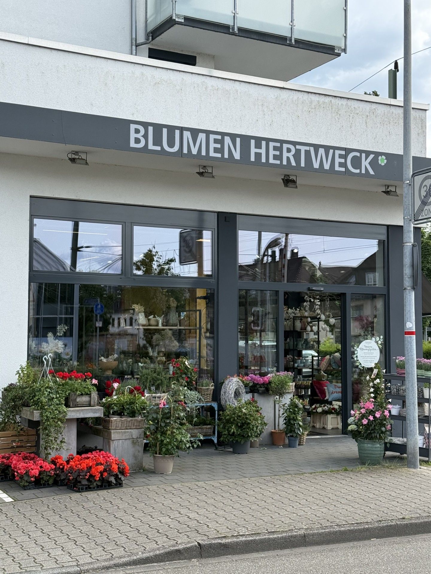 Blumen Hertweck - GALLERY