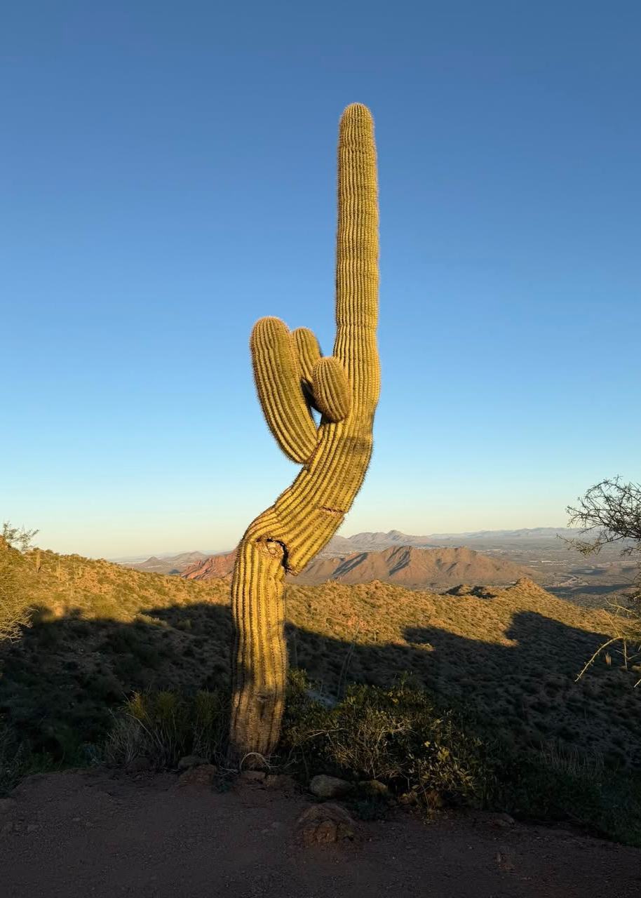 Pam Johnson - State Farm Insurance Agent Image