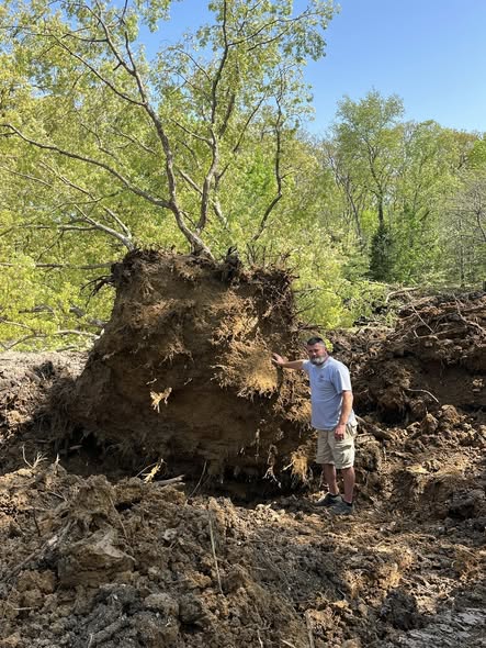 Yard Restoration, LLC. Image