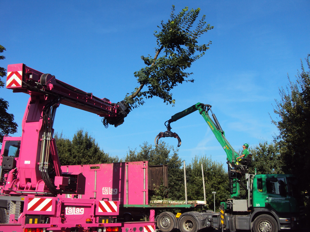 Fällag AG, Brüttenerstrasse 1 in Lindau
