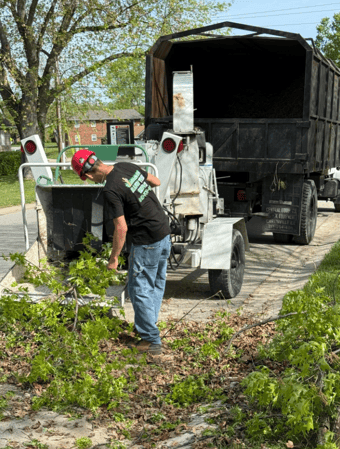 Images Mason Tree Service