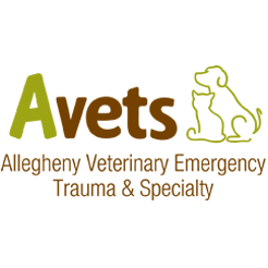 Avets Logo