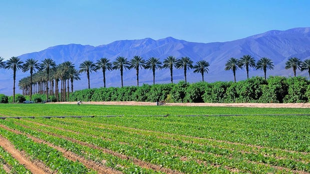 Images Law Office of Rafael Bustamante Laue