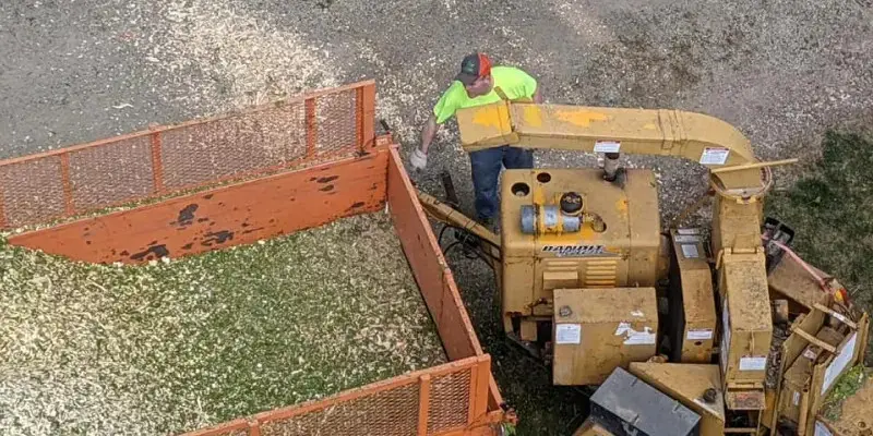 Make the right impression with our professional tree care.