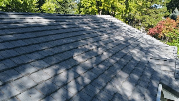 Images Rex Roofing & Solar, LLC