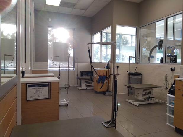 Images Petco Grooming