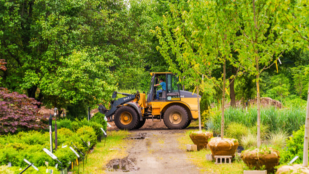 Images Mahoney's Garden Center