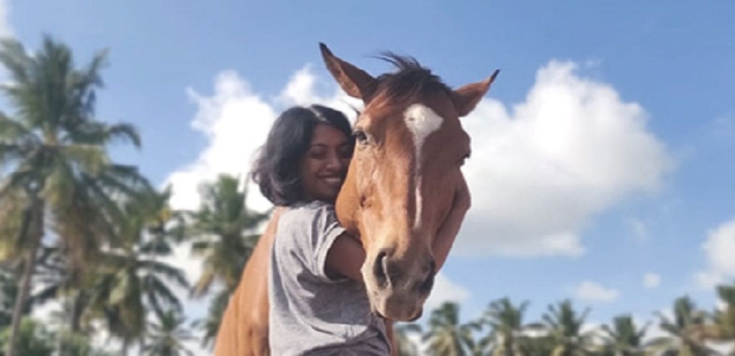 EAHAE International Association for Horse Assisted Education in Schkölen