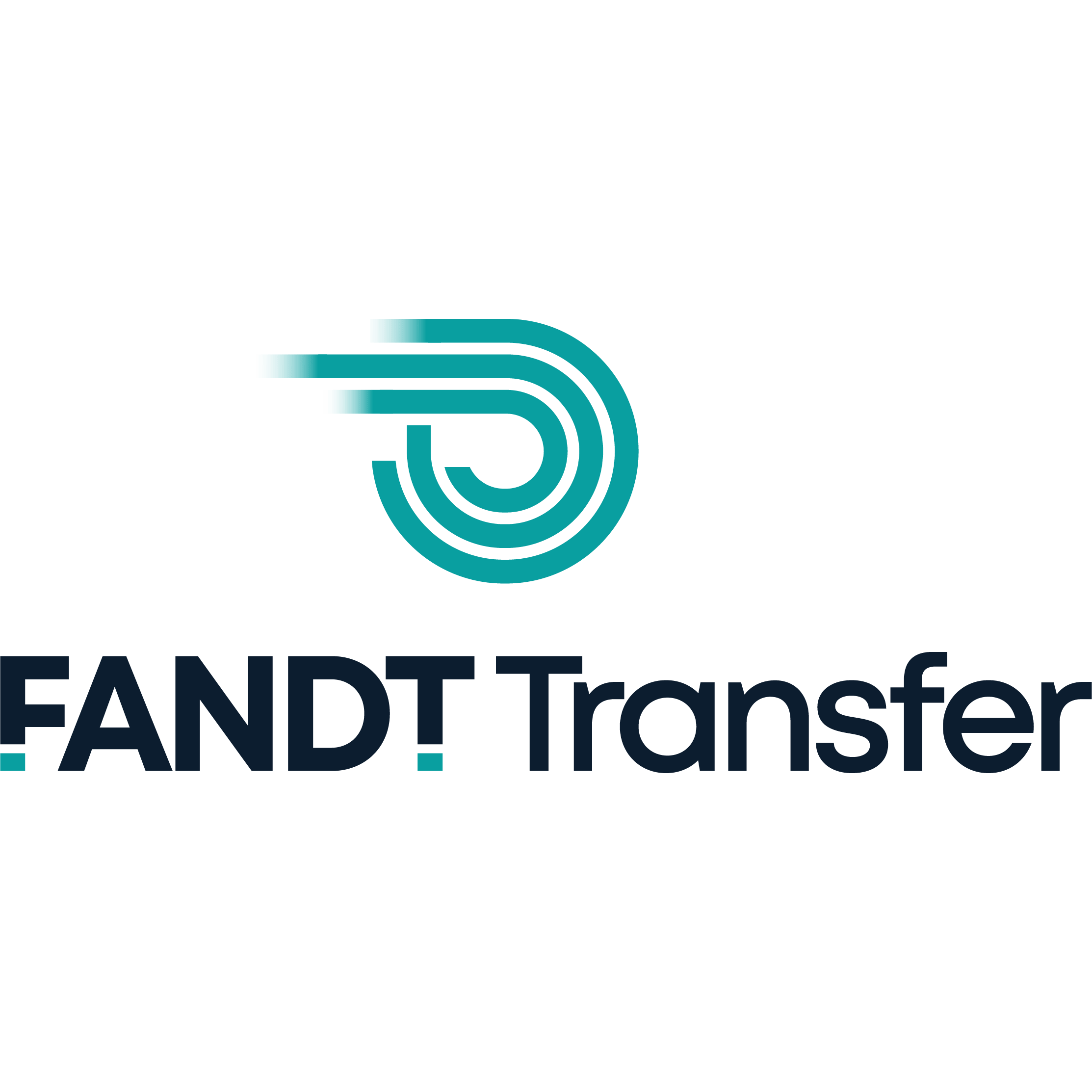 Kundenlogo FANDT-Transfer