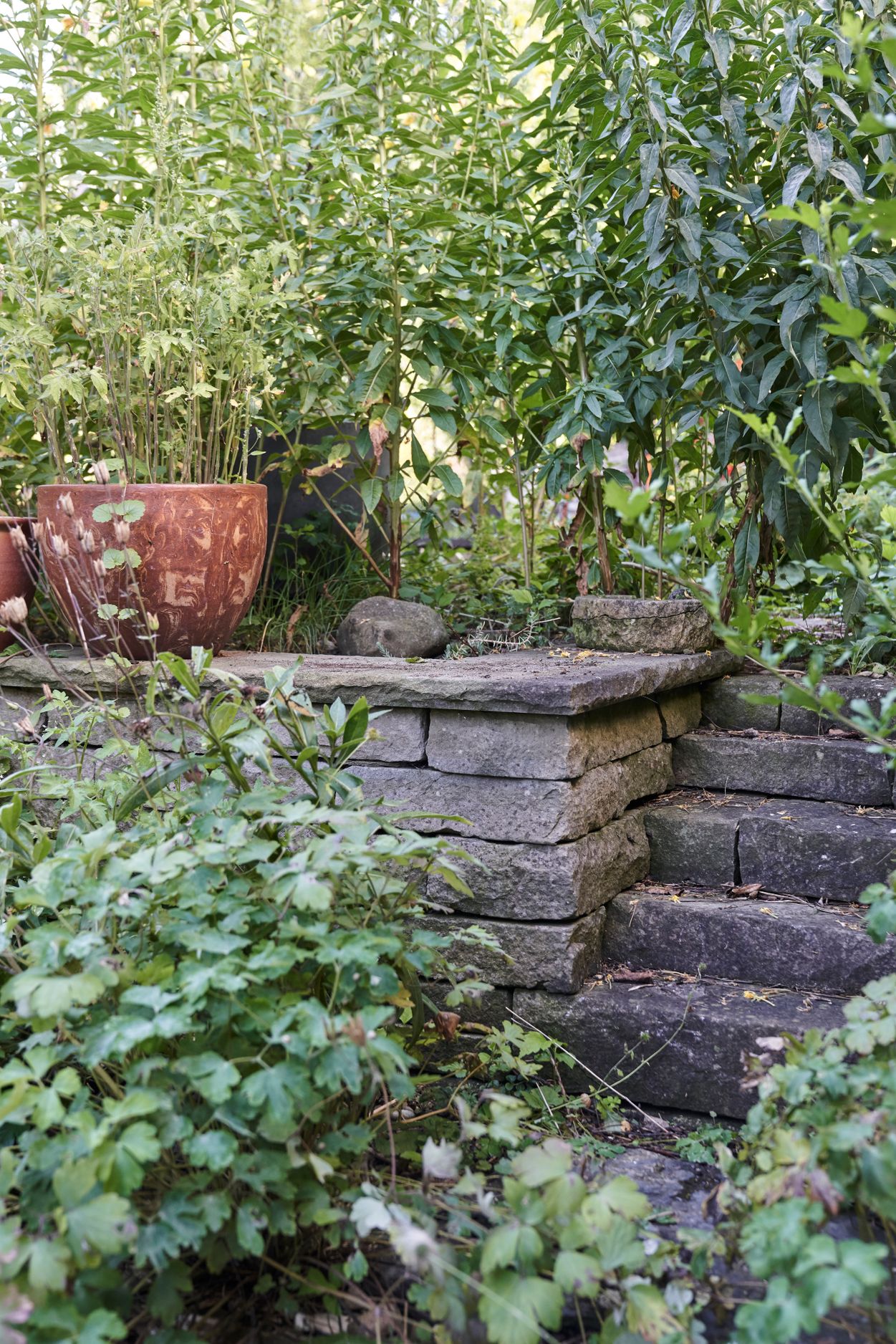 Bilder garten•kultur