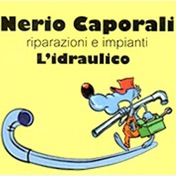 Ditta Termoidraulica Nerio Caporali Logo