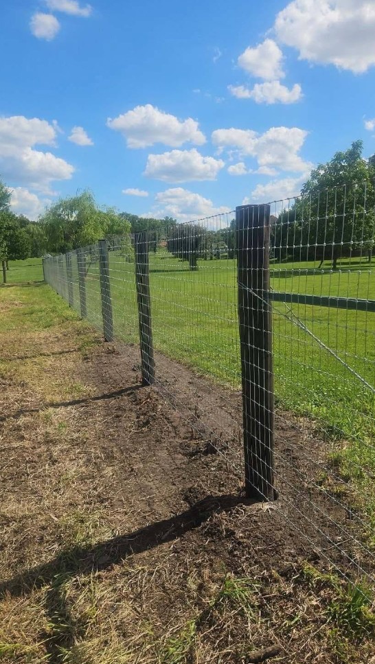 Horse Fence