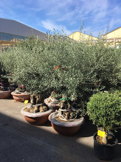 Images Vivai Euroflora