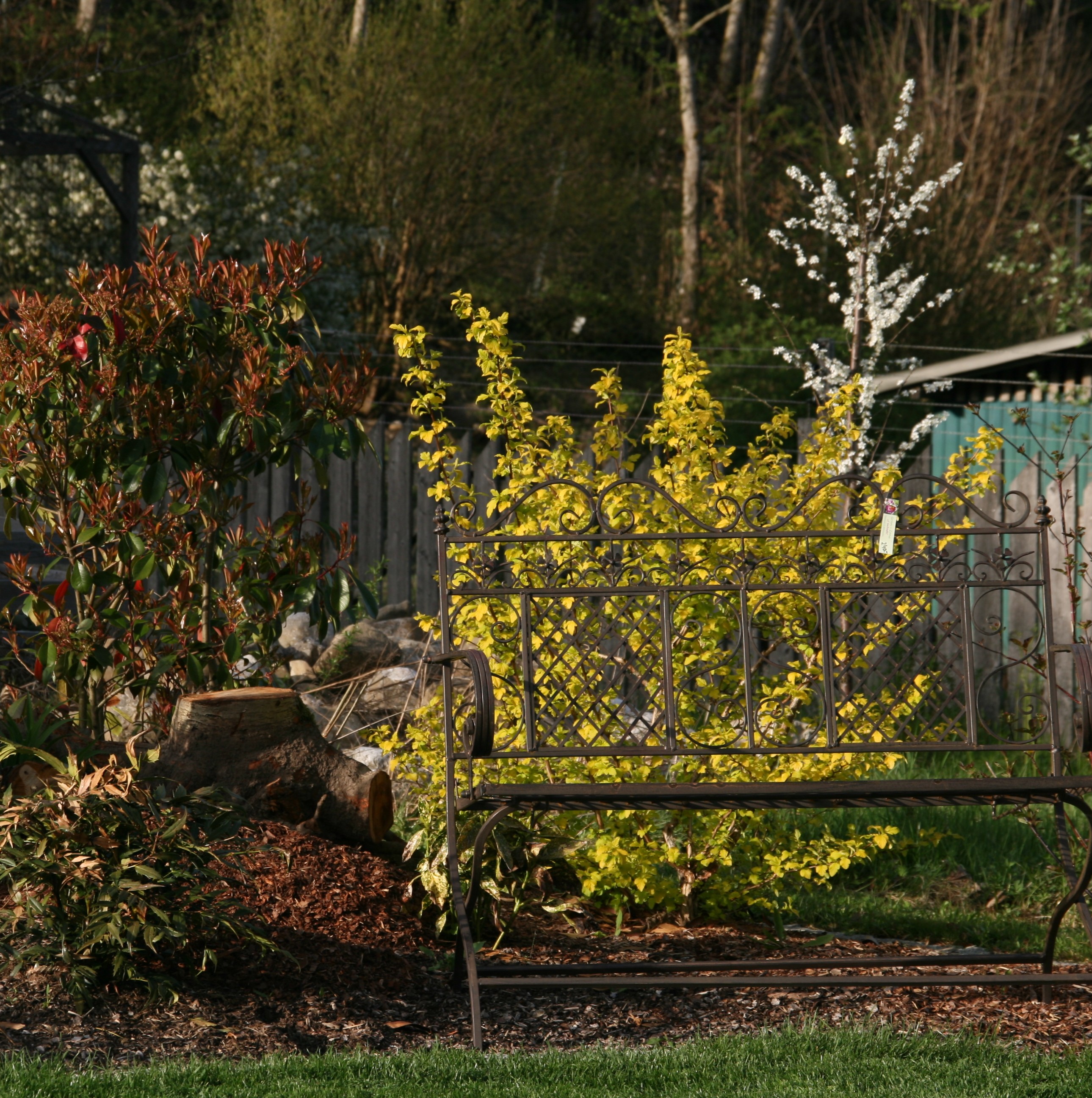 Bild 19 von Grün-Zone