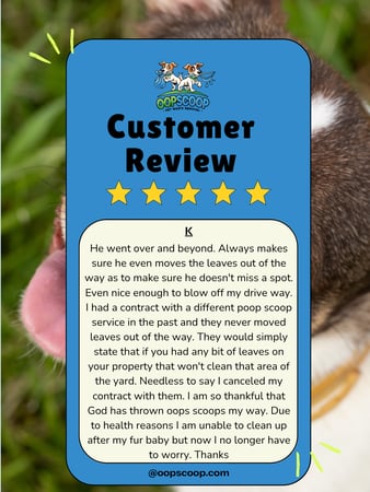 Images Oop Scoop Pet Waste Removal