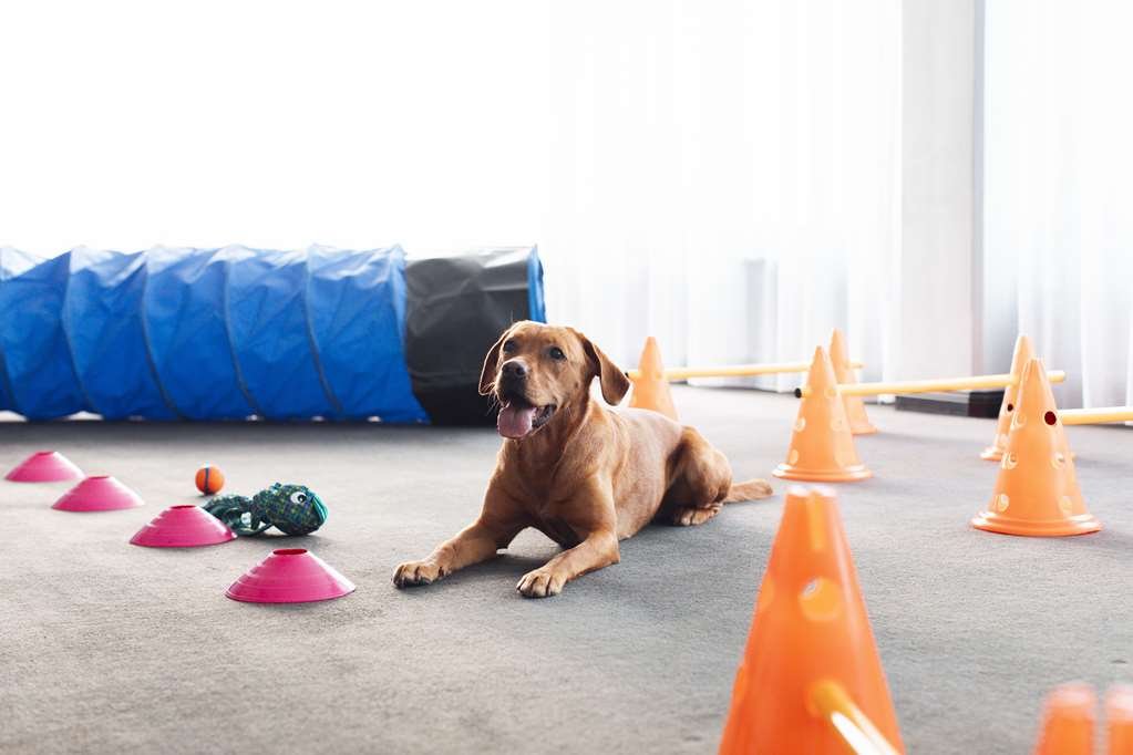 Images Radisson Blu Arlandia Hotel, Stockholm-Arlanda