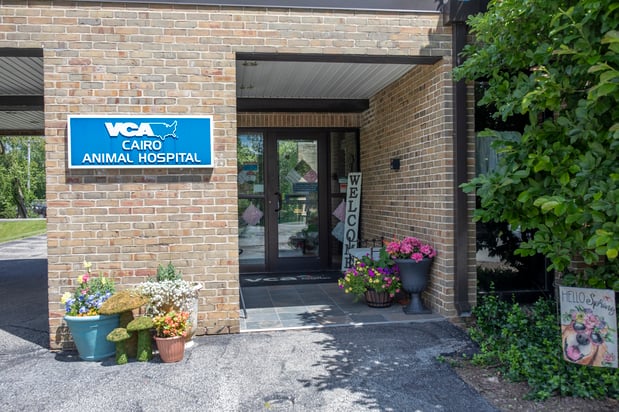 Images VCA Cairo Animal Hospital