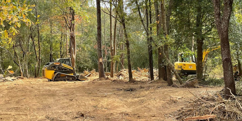 Count on our experienced local team for exceptional forestry services. 