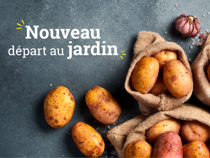 NOUVEAU Catalogue Janvier 2026