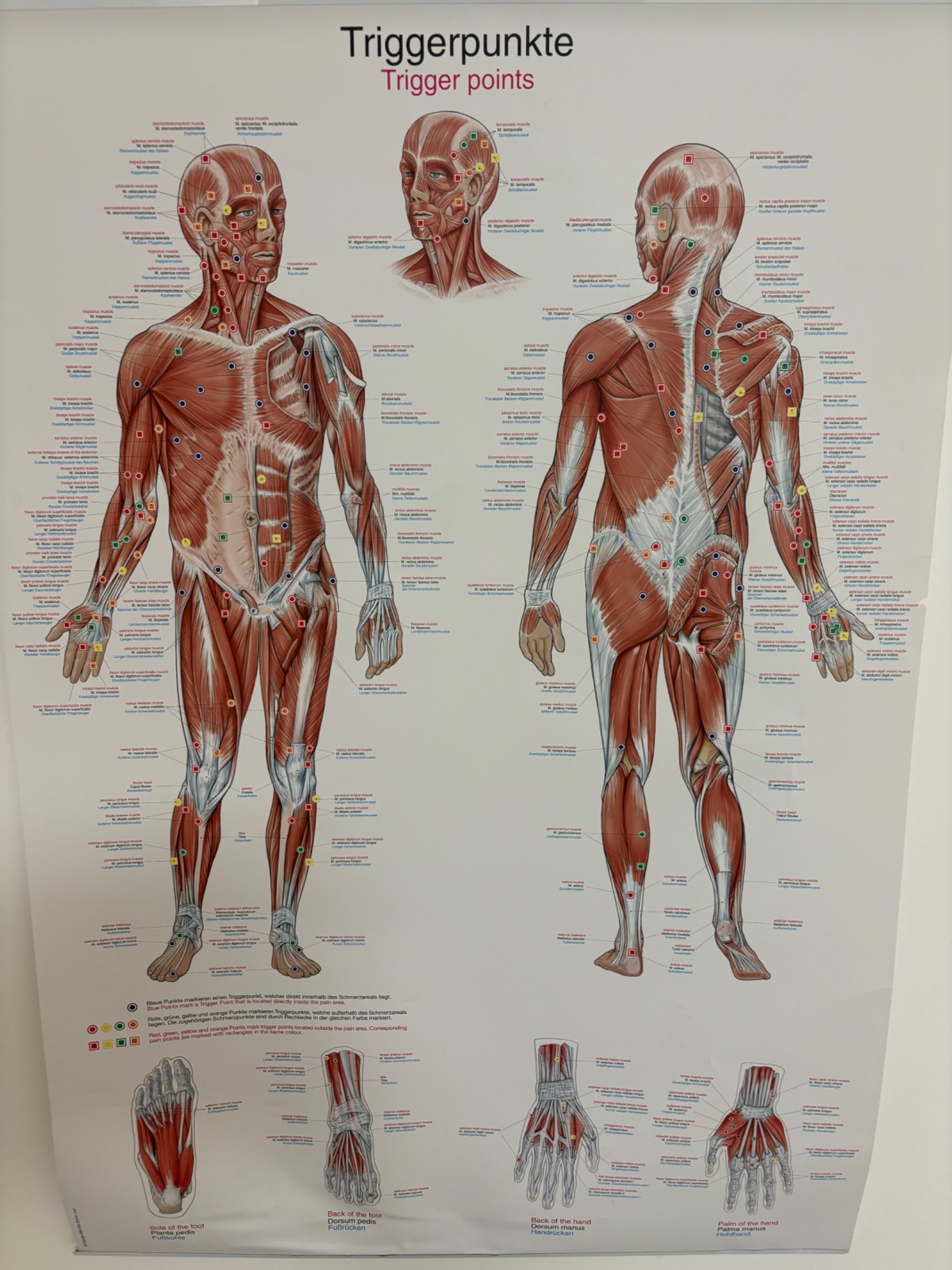 Images Koulutettu hieroja ja PT Mauri Puolakanaho
