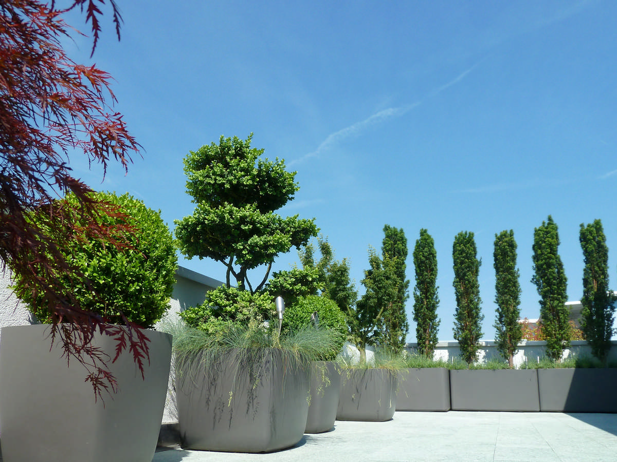 Silvedes AG, Bellevue in Brütten