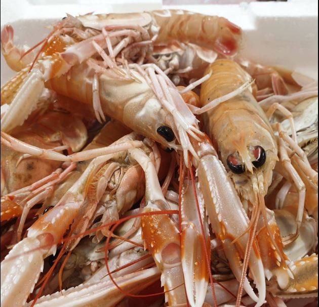 Images Gastronomia Pescheria Da Felice