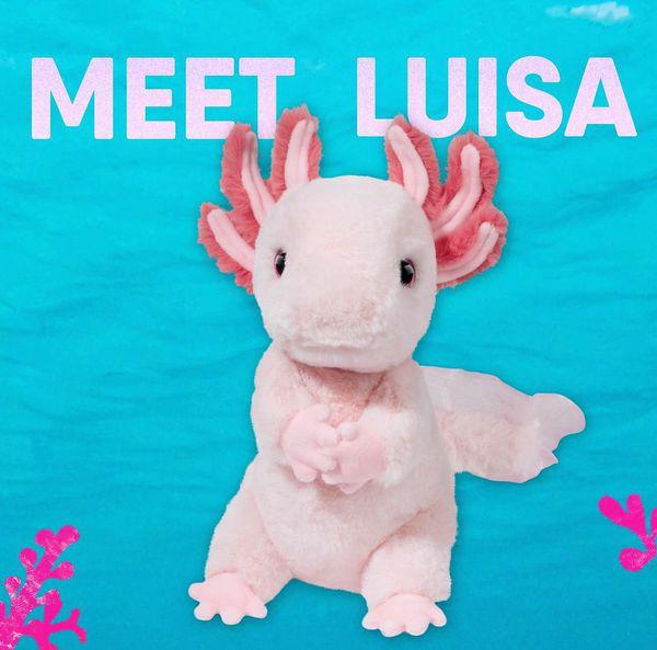 Meet our newest plushie Luisa 🌸🌸 isn’t she the cutest AXOLOTL ever. She loves the water and lots of snuggles 🥰🫶🫶🌍