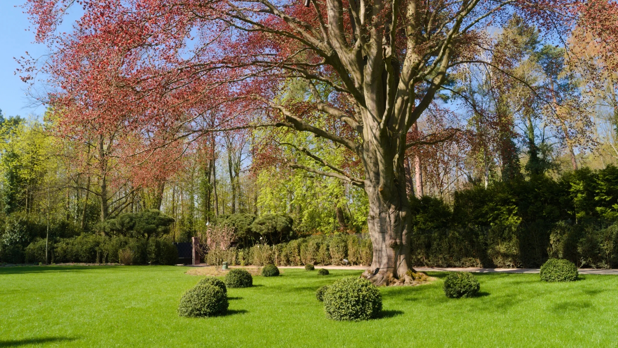 Die Hofgärtner GmbH, Kaiserin-Augusta-Allee 34a in Berlin