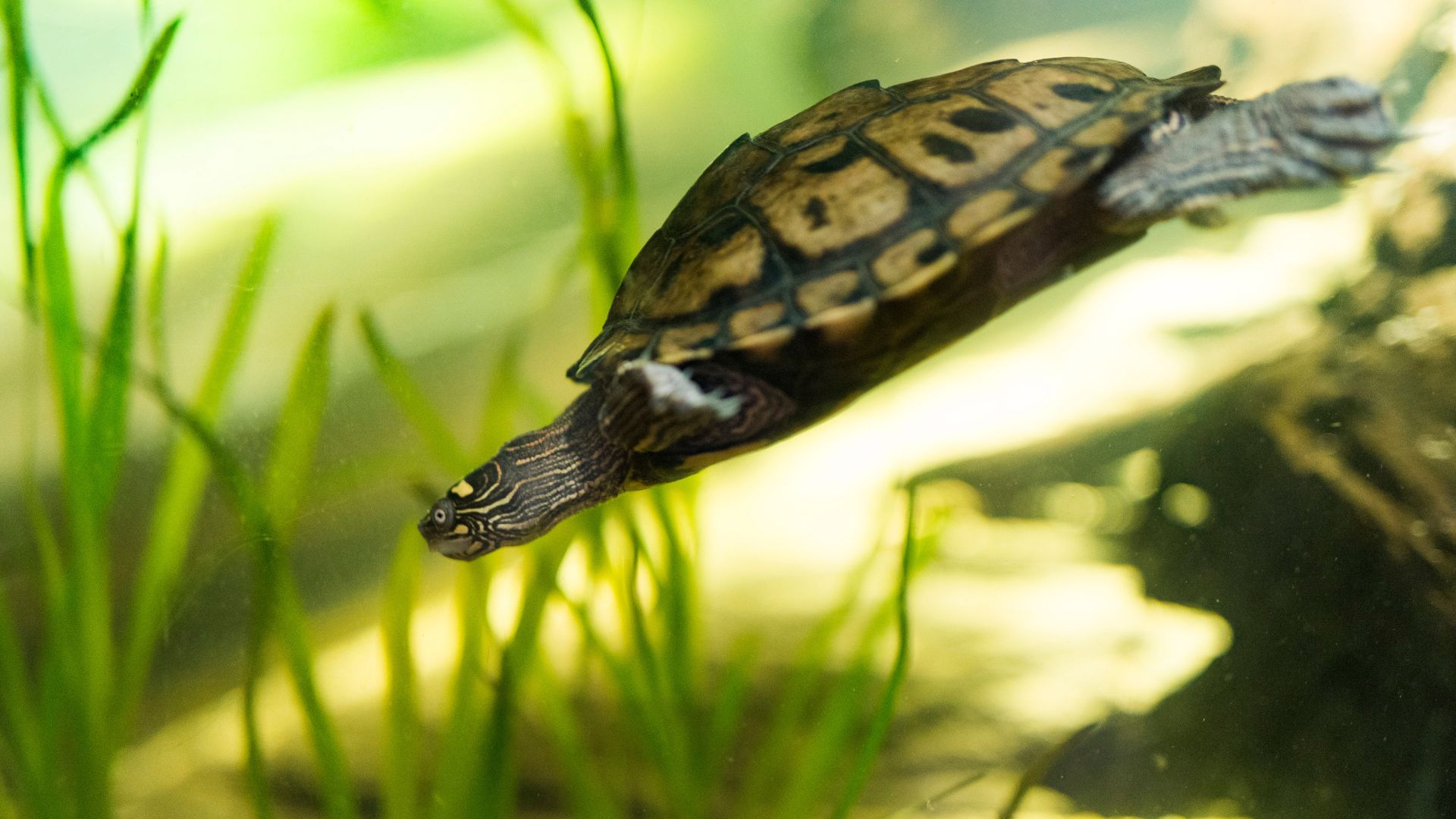 Kundenbild groß 3 SEA LIFE München