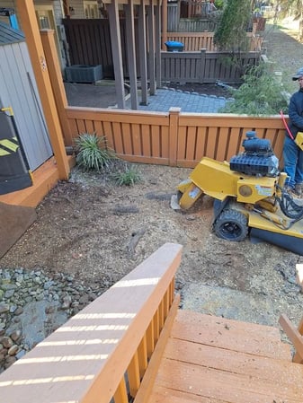 Images David Kennedy Tree & Landscaping