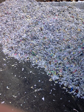 Images Veteran Shredding