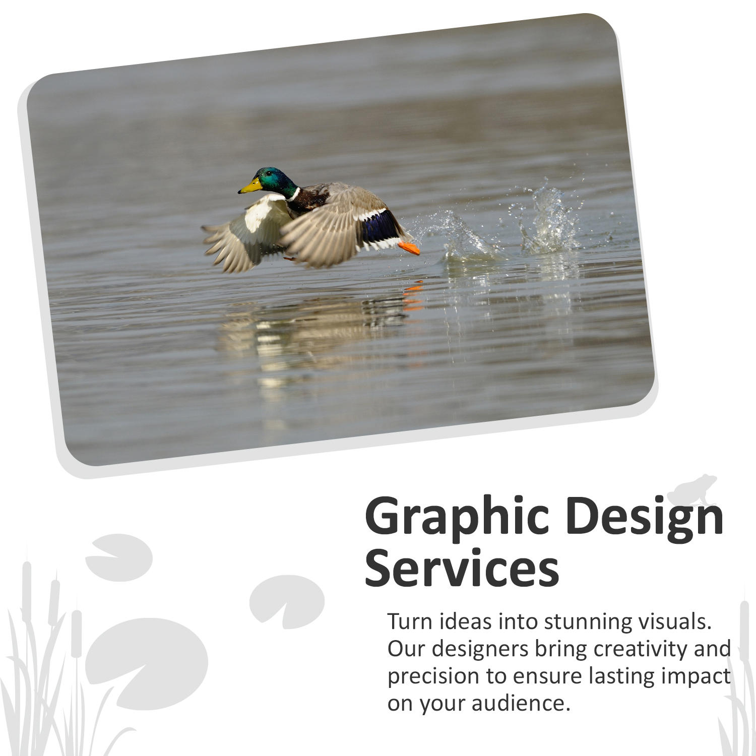 Our designers can create consistent on-brand graphics for all your company needs. Learn More: https://paraduxmedia.com
