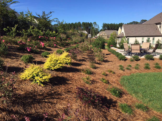 Images Estep Lighting and Landscaping
