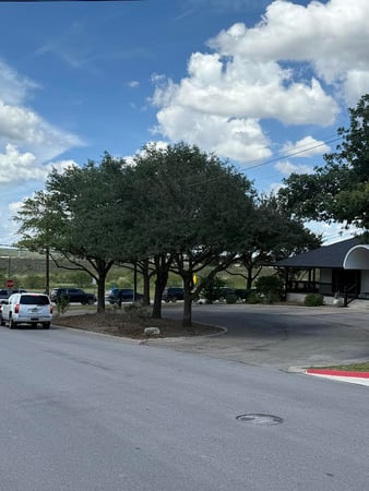 Images Twisted Oaks Tree Services LLC