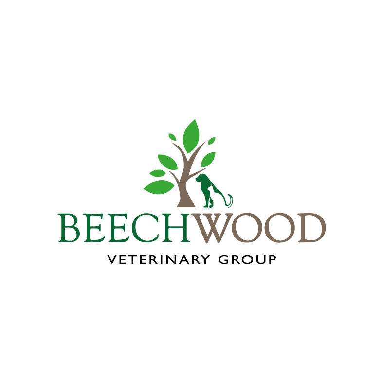 Beechwood Veterinary Group, Beeston Leeds 01132 700325