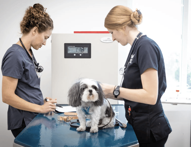 Images Crescenta Cañada Pet Hospital