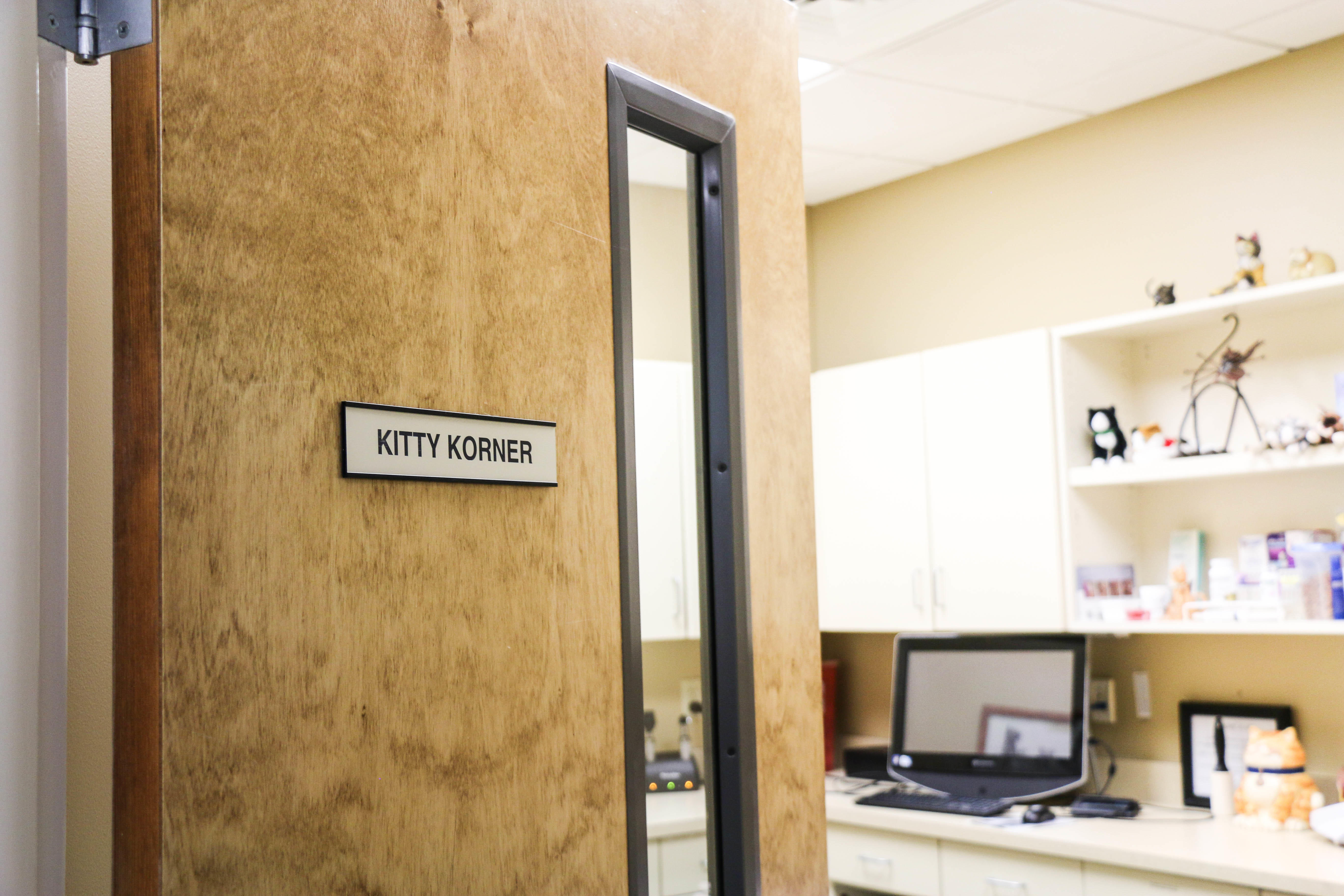 Welcome to our "Kitty Corner," our exam room set-up specifically for our fabulous feline patients!