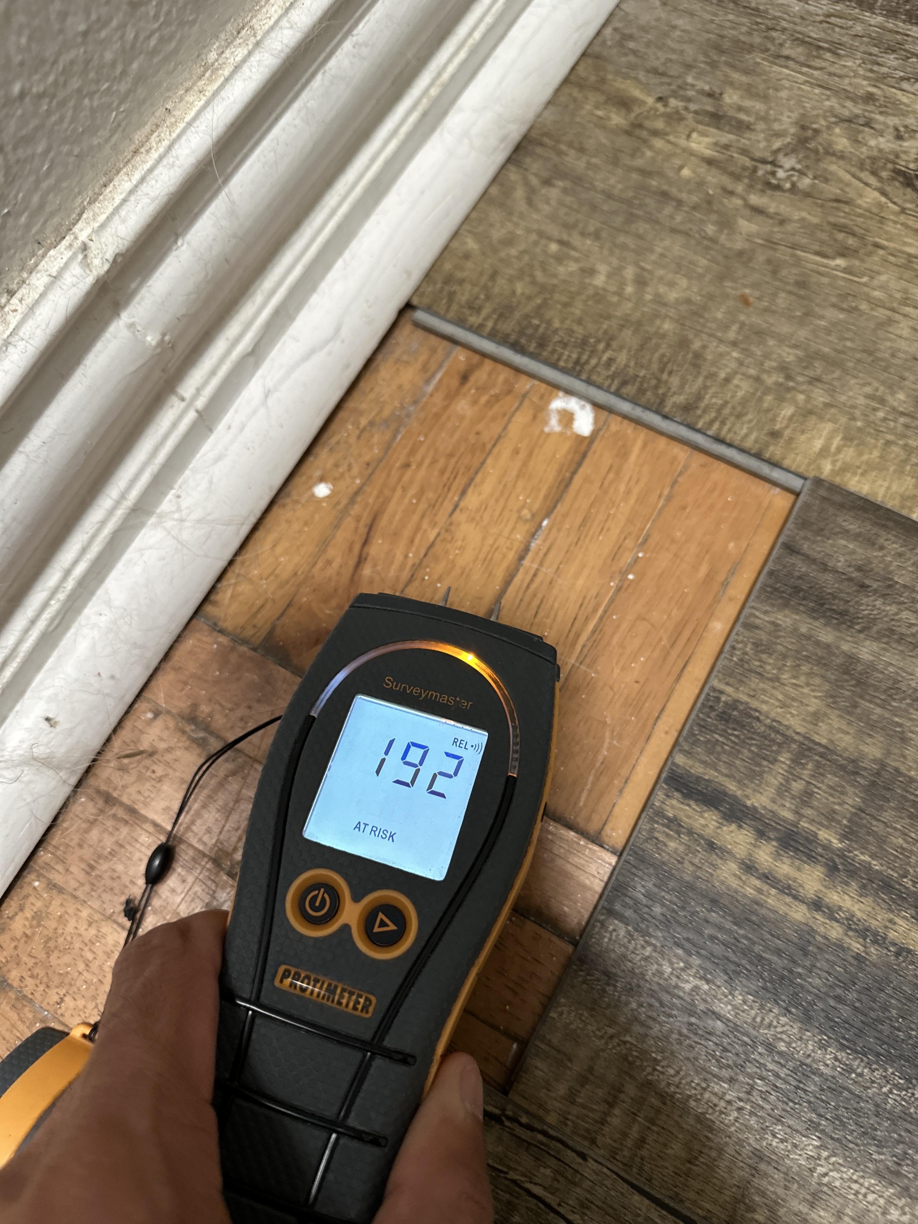 Moisture Detection Services