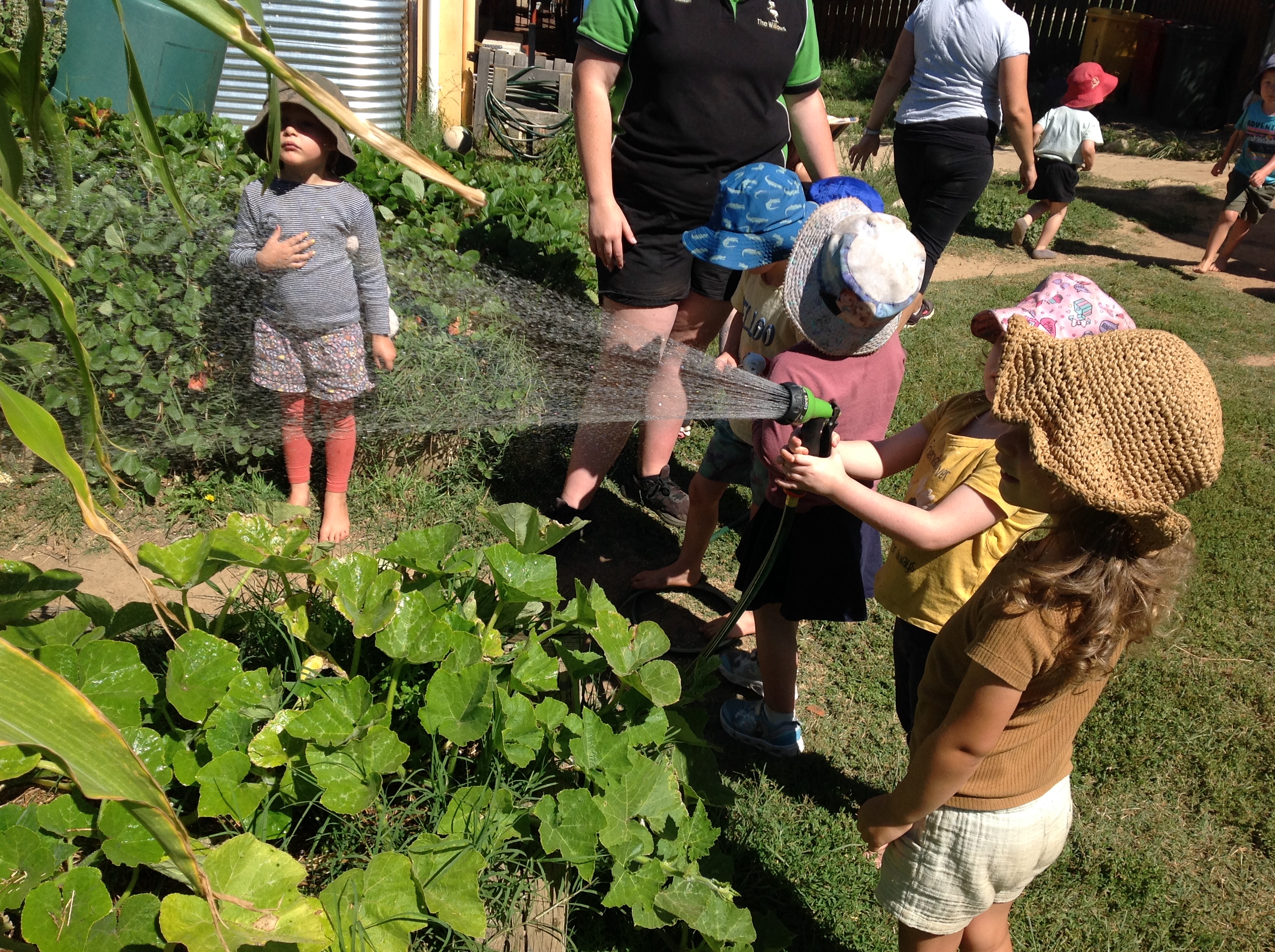 Images The Willows Preschool and Early Learning Centre