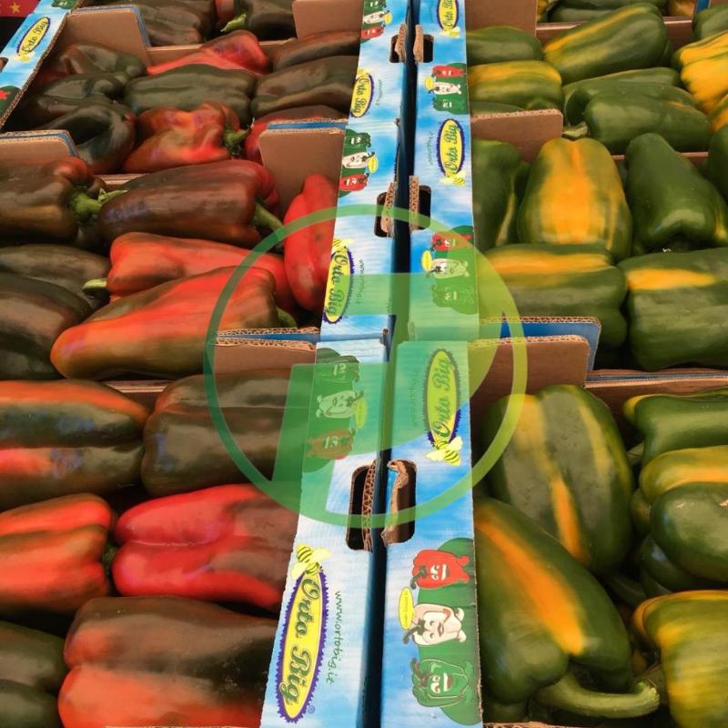 Images Patti Food Ingrosso Alimentare