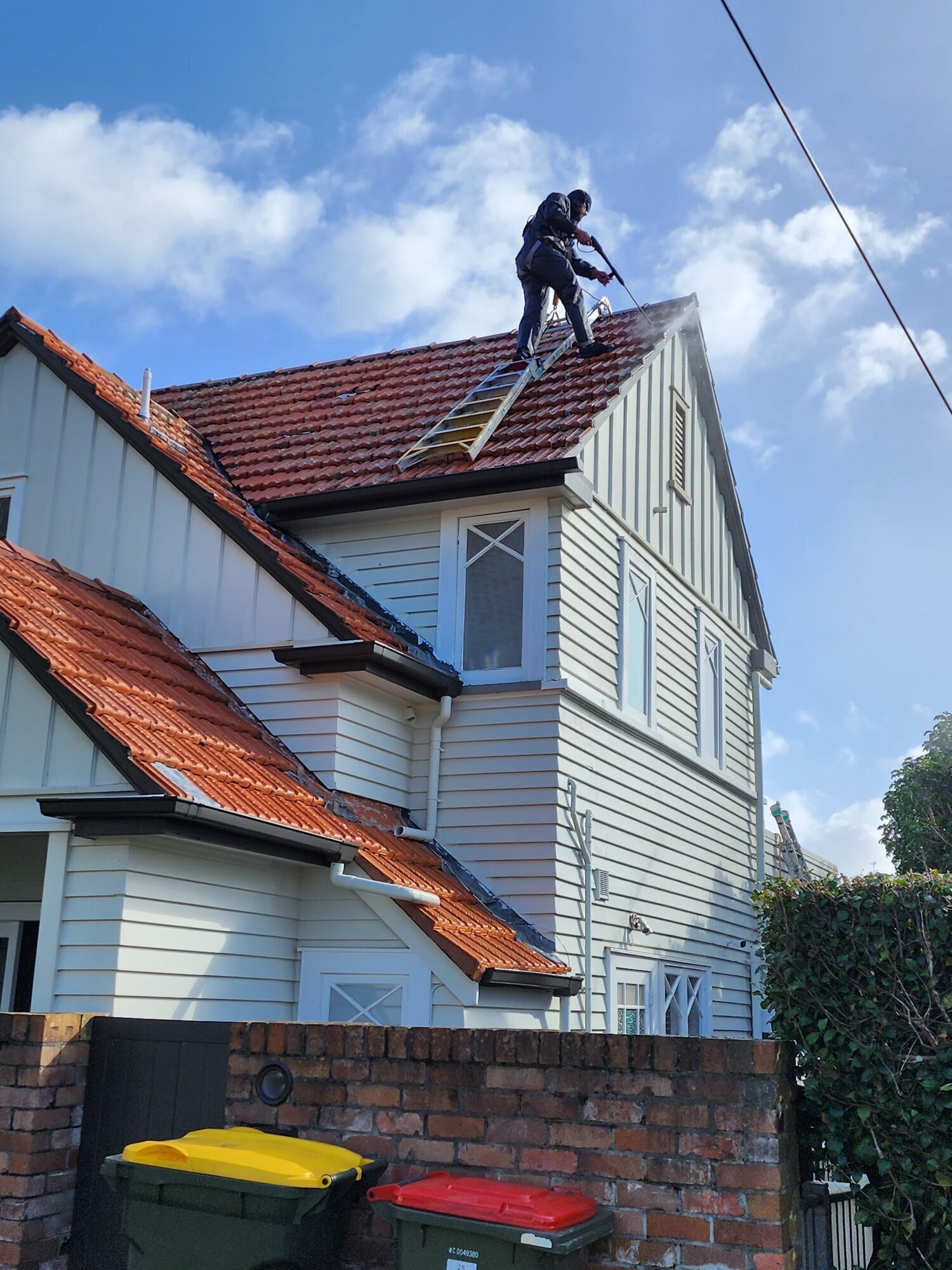 Images Tropical Painters & Decorators