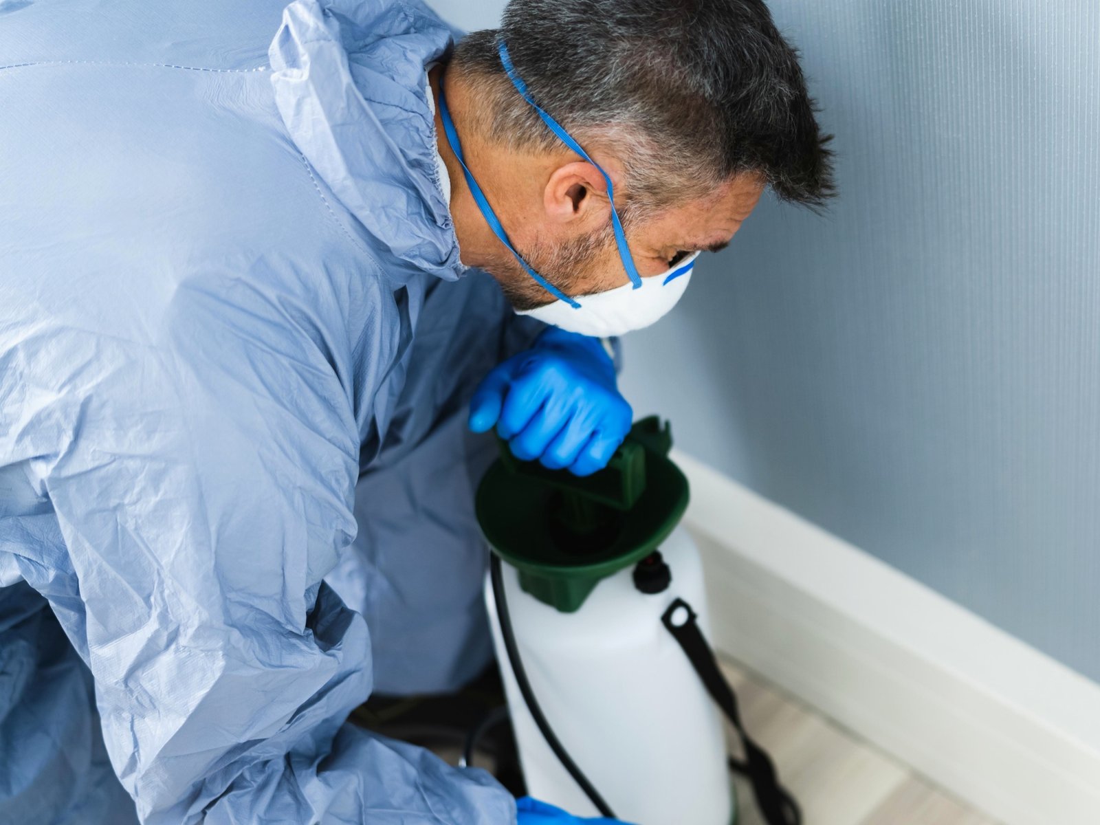 New System Pet Control Srv