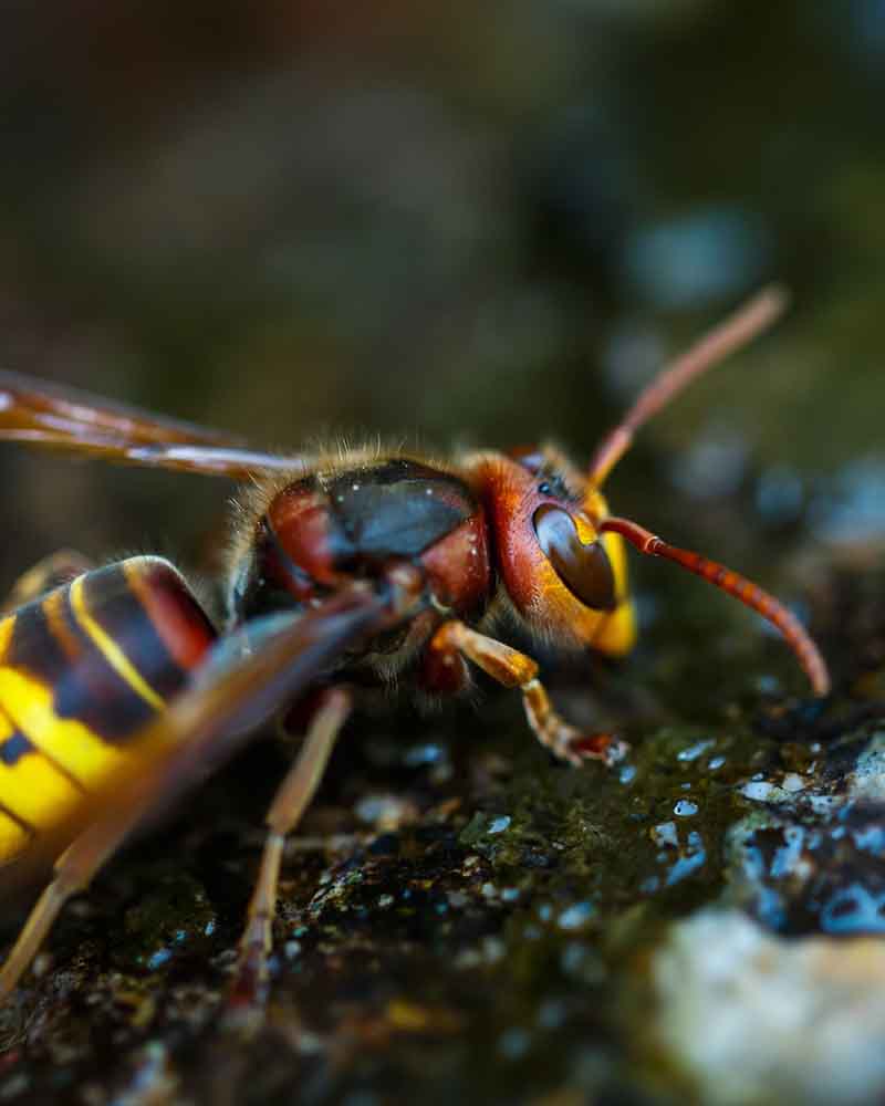 Bilder Logicomed Sagl