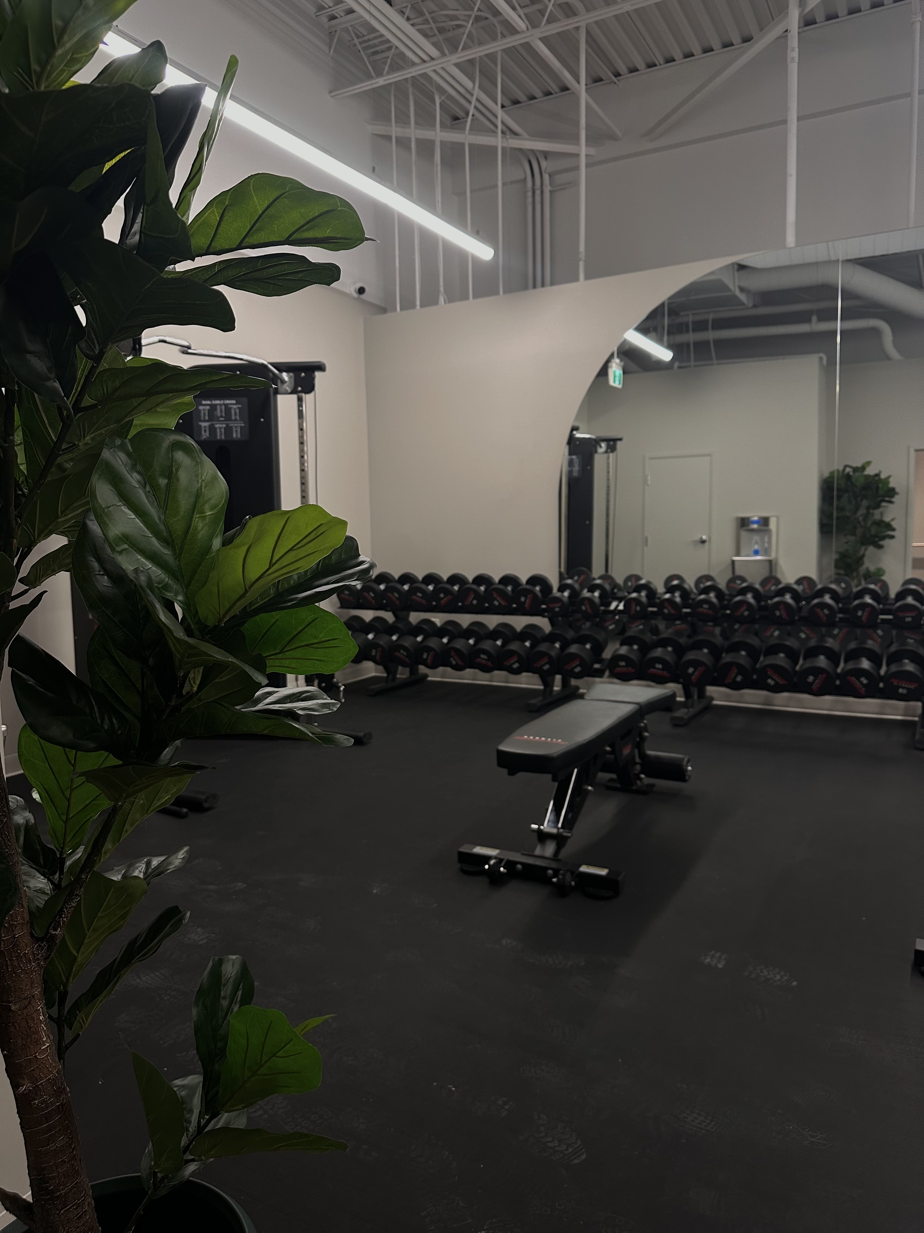 Images FD Fitness