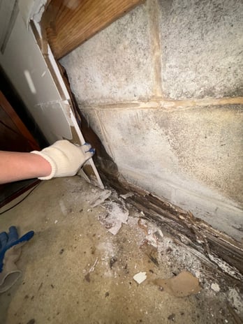 Images Acclaimed Water Damage and Restoration