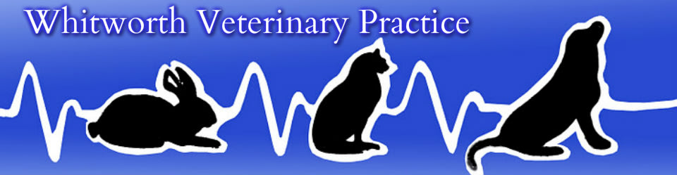 Images Whitworth Veterinary Practice Ltd